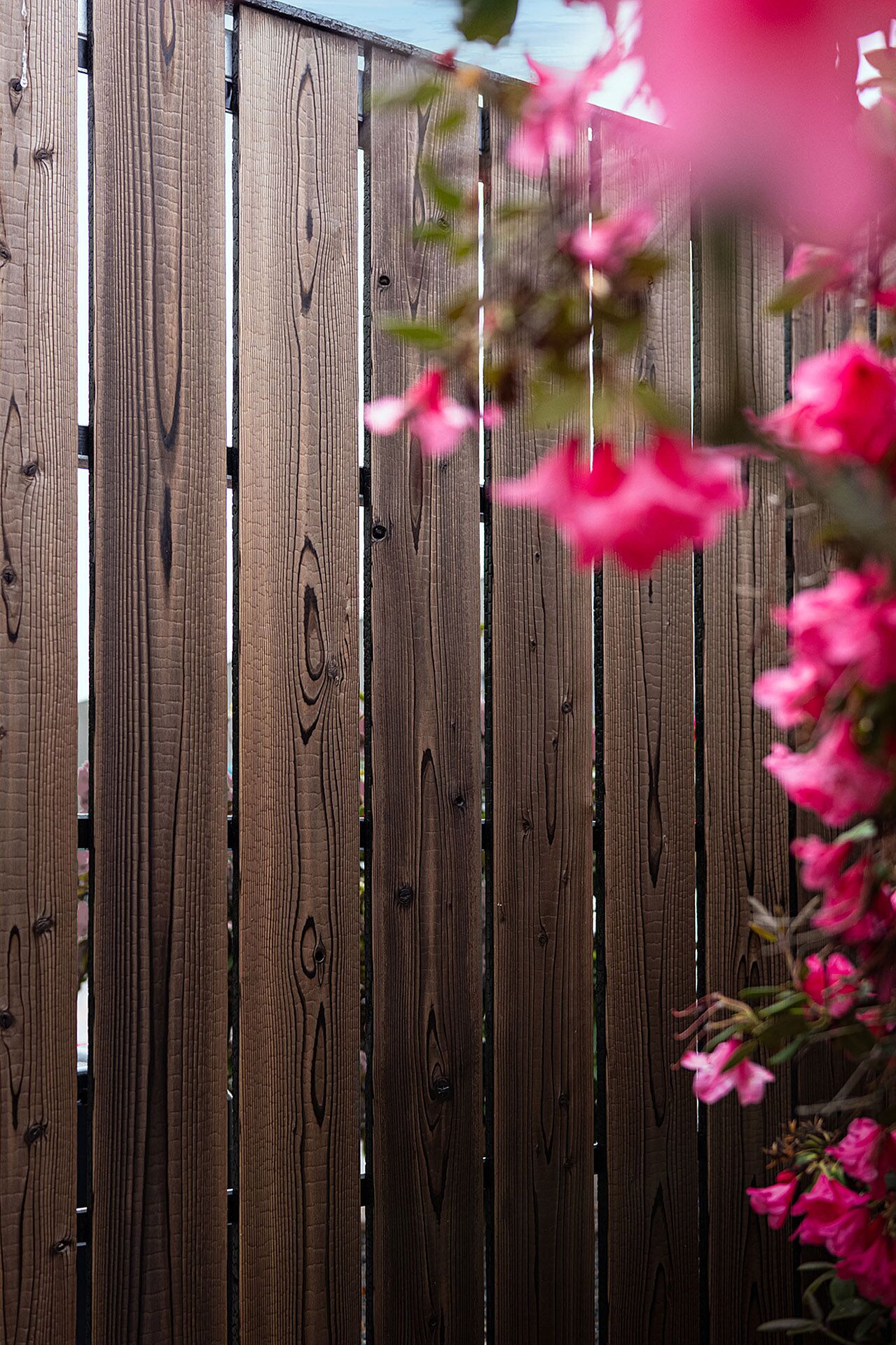 Shou Sugi Ban Siding | Nakamoto Forestry